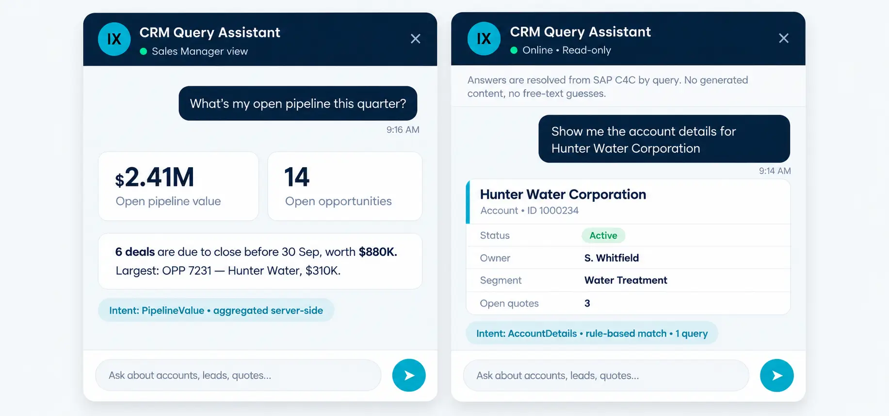 CRM Query Assistant
